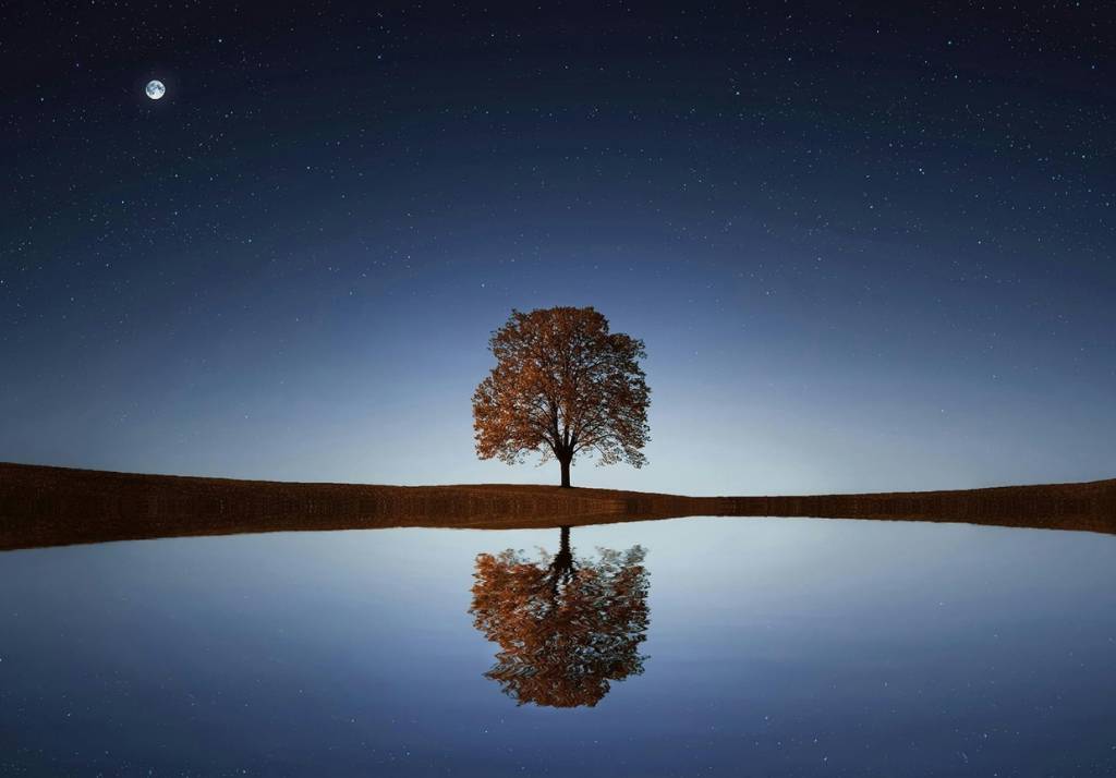 A solitary tree stands against a starry night sky, reflecting perfectly in a calm body of water.